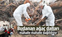 Manisa’da budanan ağaç dalları mahalle mahalle dağıtılıyor