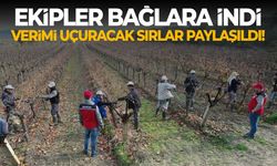 Manisa'da ekipler bağlara indi! Verimi yükseltmenin sırları paylaşıldı...