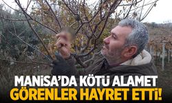 Manisa'da görenleri şaşırtan görüntü! Hayra alamet değil...