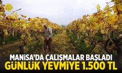 Manisa'da günlük yevmiye 1.500 TL oldu