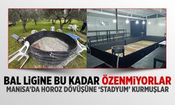 Manisa'da horoz dövüşüne 'stadyum' kurmuşlar
