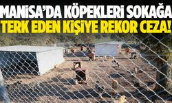 Manisa’da sahiplendiği köpekleri sokağa bırakan kişiye rekor ceza!