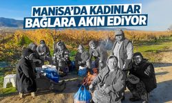 Manisa'da kadınlar bağlara akın ediyor