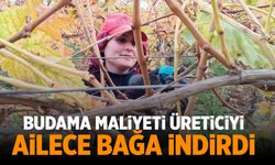 Manisa'da maliyetler üreticiyi ailece bağa indirdi