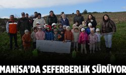 Manisa’da yanan alanlarda yeniden umut