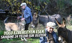 Manisa’da Raif dede 24 yıldır karanlığı Magare ile aşıyor!