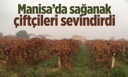 Manisa'da sağanak çiftçileri sevindirdi