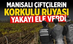 Manisalı çiftçilerin korkulu rüyası yakalandı
