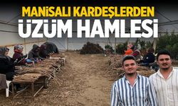 Manisalı kardeşlerden üzüm hamlesi!