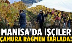 Manisa’da işçiler çamura rağmen tarlada!