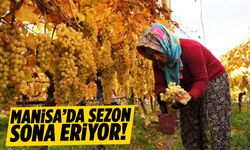 Manisa’da final zamanı! Sezon sona eriyor…