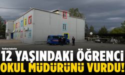 Okul bahçesinde dehşet: 12 yaşındaki öğrenci müdürü vurdu!