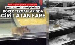Mide bulandıran görüntü: Fare börekçide cirit attı