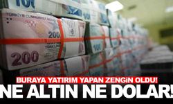 Ne altın ne de dolar... Yatırımcının gözü artık burada!