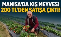 Sadece 500 kişi üretiyor... Manisa'da 200 TL'den satışa çıktı!