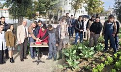 Sarıgöl’de Engelliler Günü coşkusu: Hasat yapıp pasta kestiler