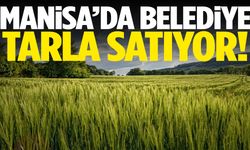 Yatırımcılar dikkat! Manisa’da belediye tarla satıyor!
