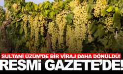Sultani Üzüm’de bir viraj daha dönüldü!