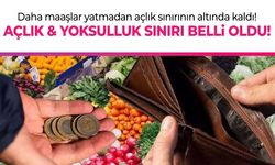 TÜRK-İŞ Aralık ayı açlık ve yoksulluk sınırını açıkladı