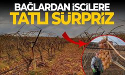 Üzüm bağından işçilere tatlı sürpriz
