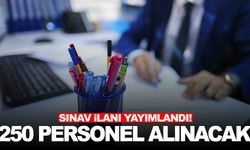 VDK 250 vergi müfettiş yardımcısı alımı yapacak! Başvuru tarihleri ve sınav takvimi belli oldu