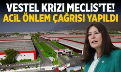 Vestel krizi Meclis'te! Acil önlem çağrısı yapıldı...