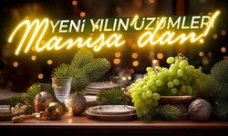 Yeni yılın üzümleri Manisa'dan!