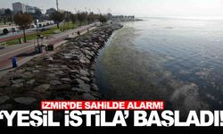 İzmir’de sahil alarm veriyor... ‘Yeşil istila’ başladı!