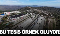 Yunusemre’nin hayvan yaşam merkezi göz dolduruyor