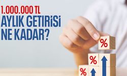 1 milyon TL'nin faiz getirisi aylık ne kadar?