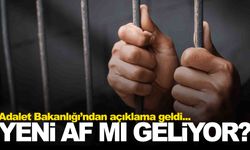 Adalet Bakanlığı af iddialarına açıklık getirdi