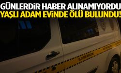 Komşuların şüphesi haklı çıktı: Yaşlı adam evinde ölü bulundu!