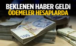 Beklenen haber geldi! Ödemeler hesaplarda