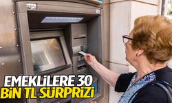 Emeklilere 30 bin TL sürprizi