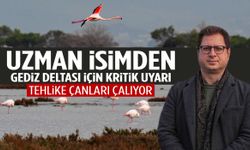 Gediz Deltası alarm veriyor!