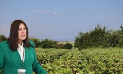 İYİ Partili Sunat: Manisa’da tarım sigortaları üreticiyi zorluyor