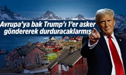 İngiltere ve Hollanda, Grönland'a birer asker gönderdi