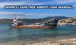 İzmir’de sit alanı statüsündeki sahilde asbestli gemi skandalı!