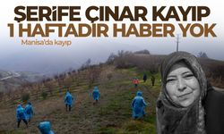 Kayıp Şerife Çınar'ı arama çalışmaları 7'nci gününde