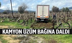 Kazalarla anılan yolda bir kaza daha: Kamyon bağa girdi!