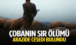 Koyunlarını otlatmaya çıktı, cansız bedeni bulundu!