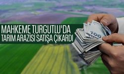 Mahkeme Turgutlu'da tarım arazisi satışa çıkardı