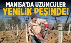 Manisa üzüm üreticileri yenilik peşine düştü!