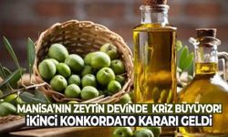 Manisa’daki zeytin devinde kriz büyüyor! İkinci konkordato kararı geldi