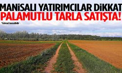 Manisa’da palamutlu tarla satışa çıkarıldı!