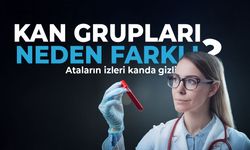 Neden dört farklı kan grubu var?