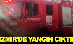 İzmir’de yangın... Hayvanlar alevlerin arasında kaldı!