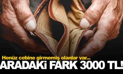 Rakamlar açıklandı... Daha şimdiden 3 bin lira fark oldu!