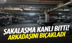 Şakalaşma kanlı bitti! Arkadaşını bıçaklayarak öldürdü
