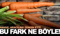 Üretici ile market arasındaki fark yüzde 278!